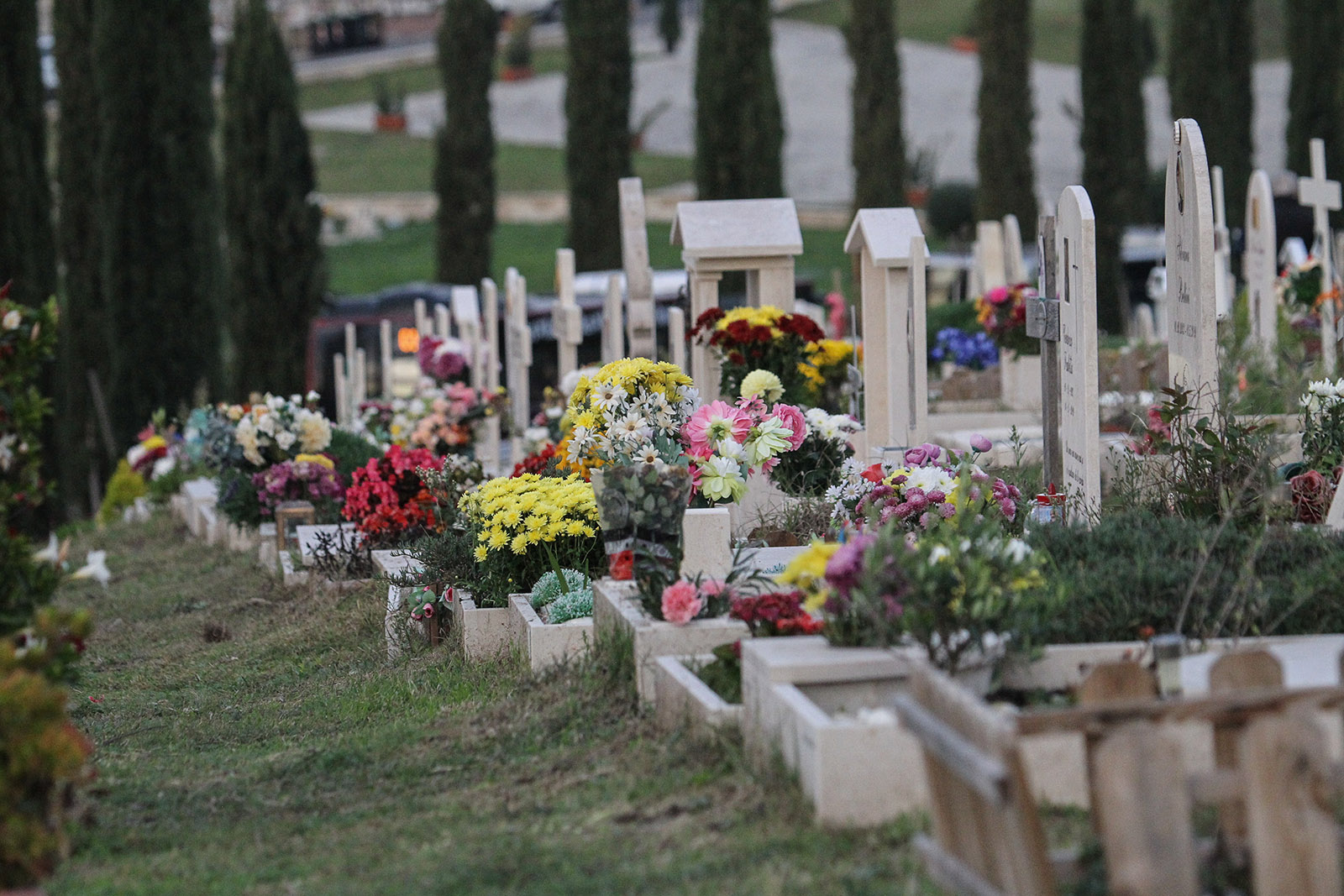 Romano: “Al cimitero di Siracusa serve un’adeguata manutenzione” Romano: “Al cimitero di Siracusa serve un’adeguata manutenzione”