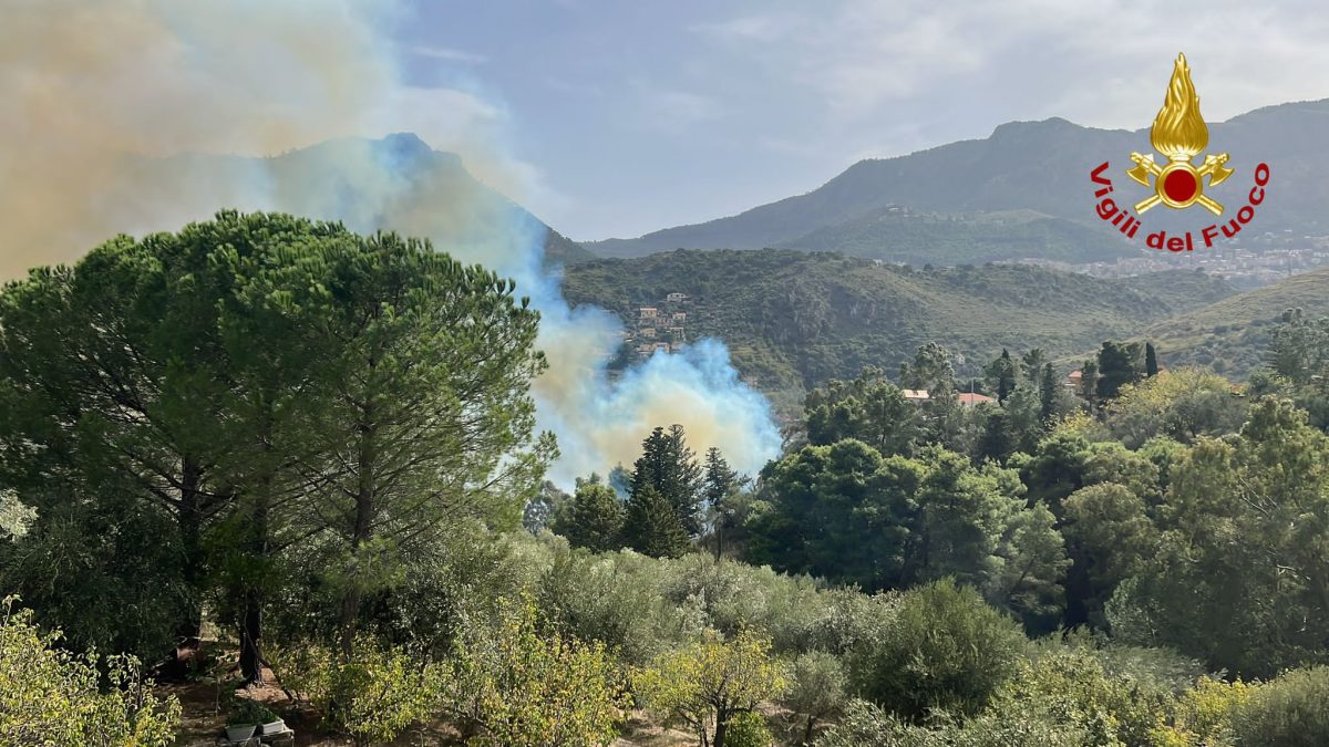 La zona del Palermitano in fiamme, numerosi gli interventi nelle ultime ore La zona del Palermitano in fiamme, numerosi gli interventi nelle ultime ore