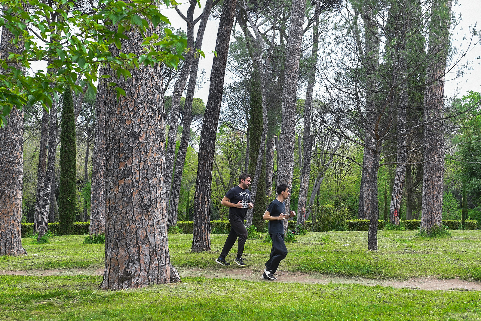 Verde urbano, in Sicilia pochi spazi per “respirare”