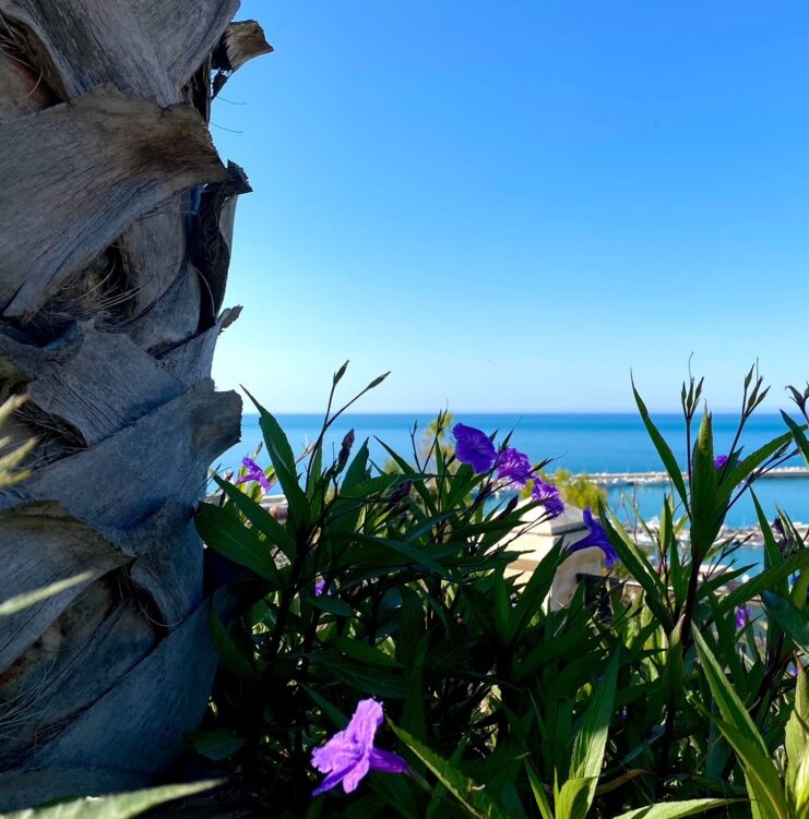 Partnership Comune Sciacca-privati per il verde pubblico