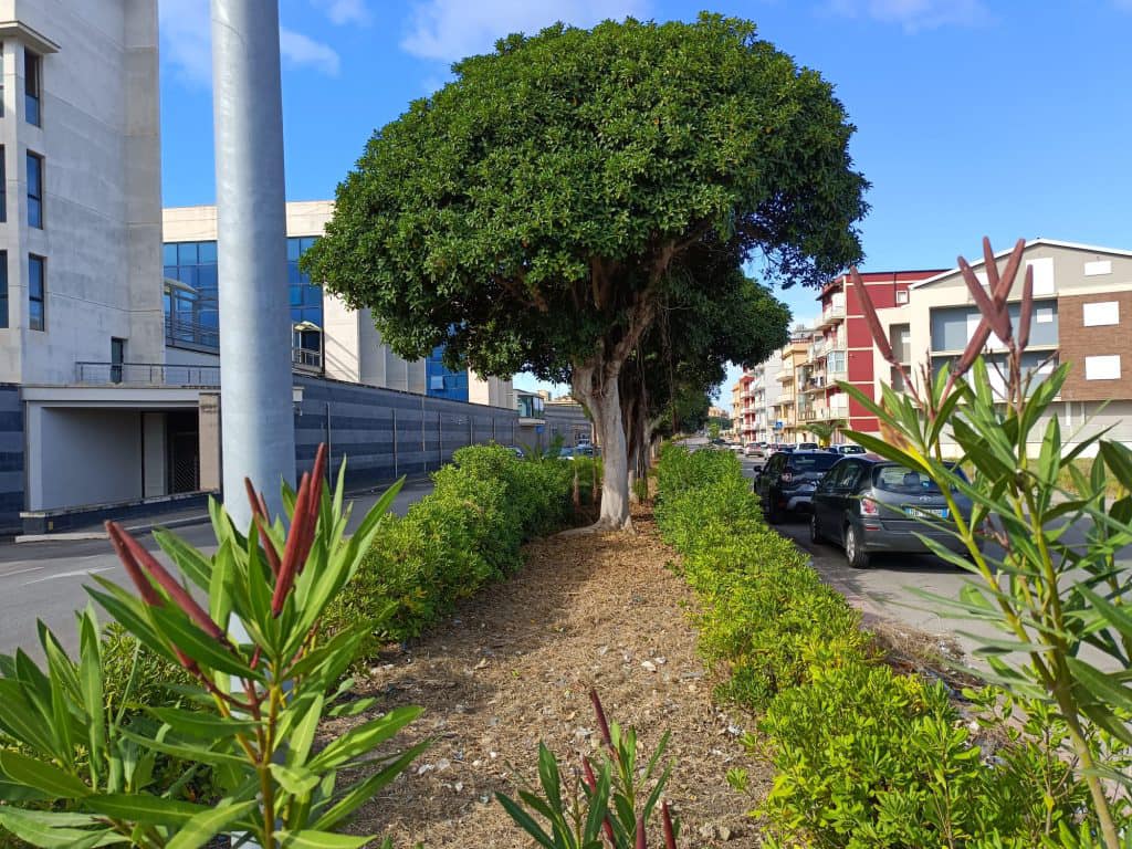 La piccola rivoluzione gelese sul fronte dei rifiuti