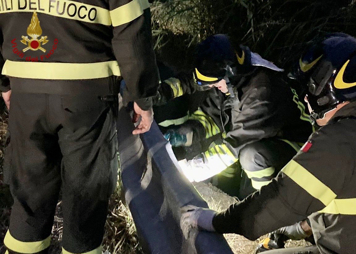 Autobus finisce fuori strada, tragedia sfiorata: 28 feriti