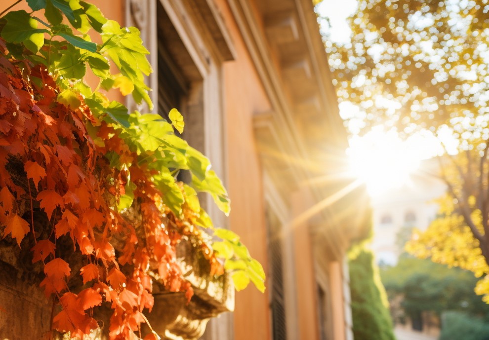 Arriva l’Estate di San Martino: la data, la leggenda e le previsioni meteo