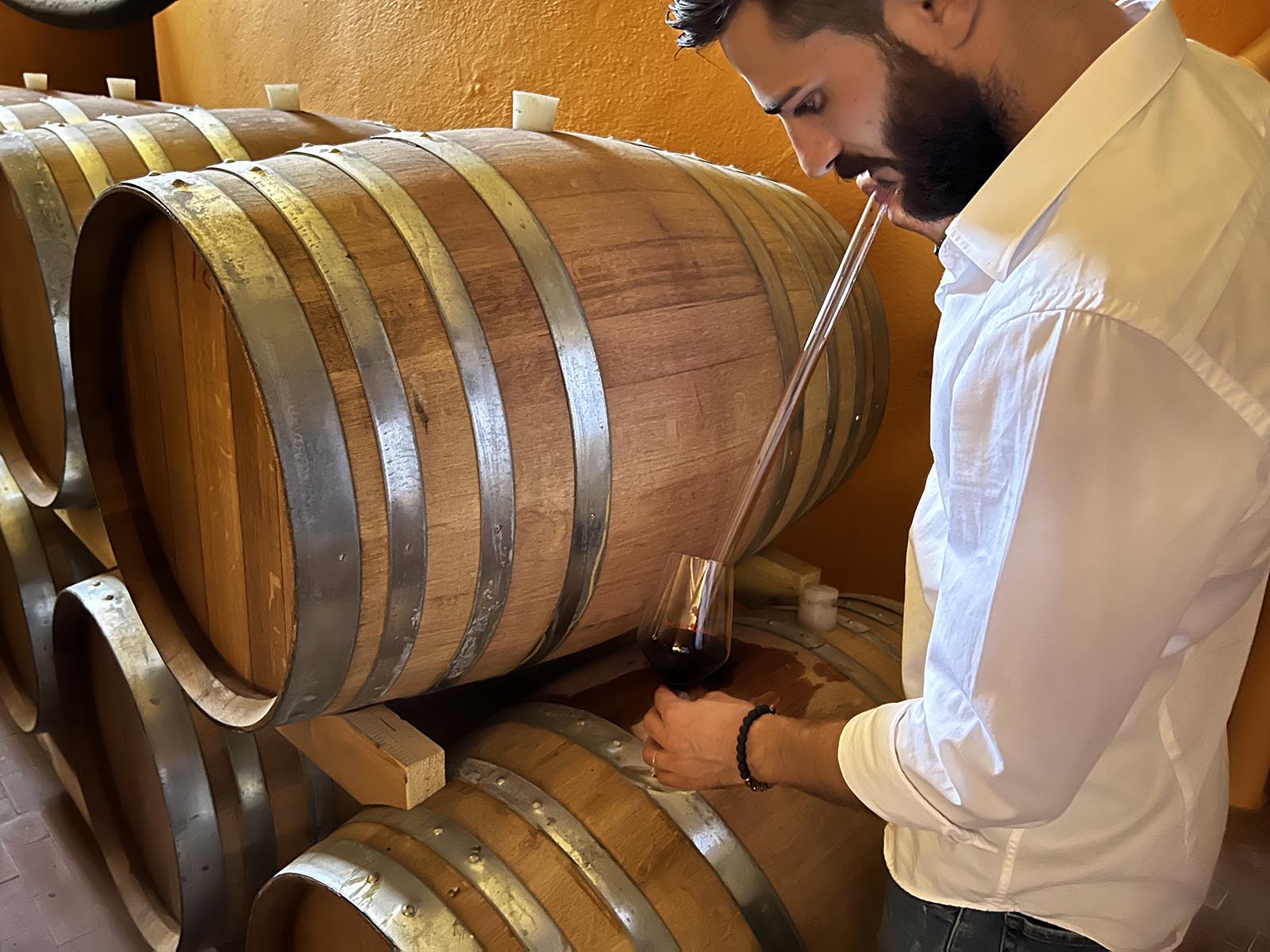 Le meraviglie della Sicilia dentro i calici: Baglio Reale, vini per passione e tradizione