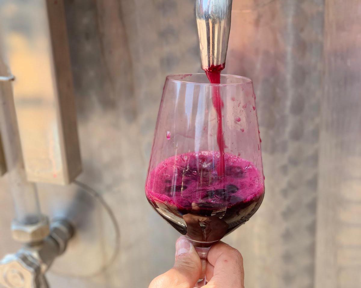 Le meraviglie della Sicilia dentro i calici: Baglio Reale, vini per passione e tradizione