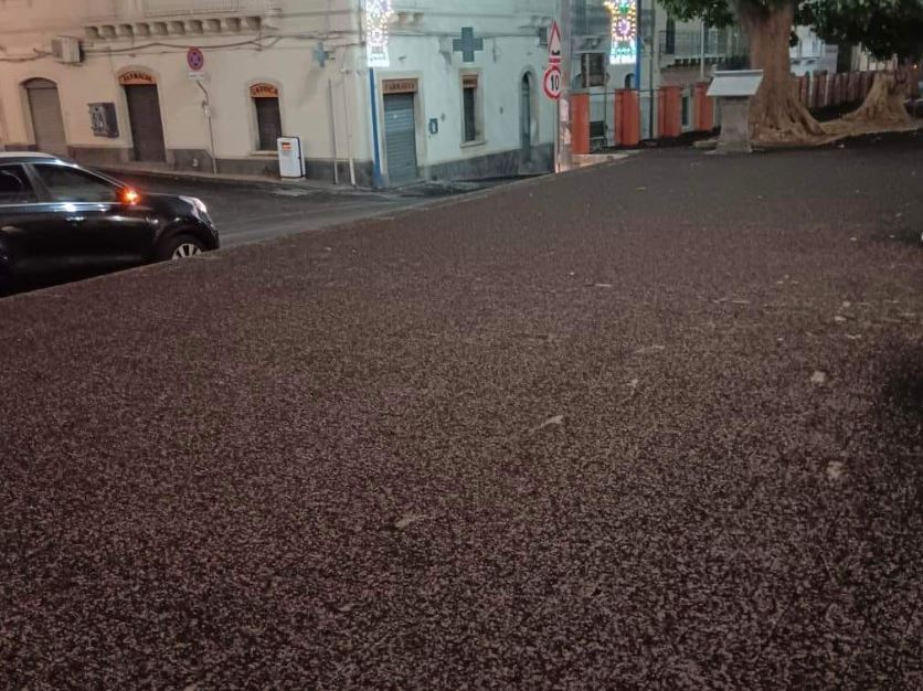 FOTO | Eruzione dell’Etna, valori rientrati: pioggia di cenere sui Comuni jonici, sabbia anche su A18