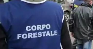 Corpo Forestale, continua la polemica sulla selezione: “Bando va annullato”