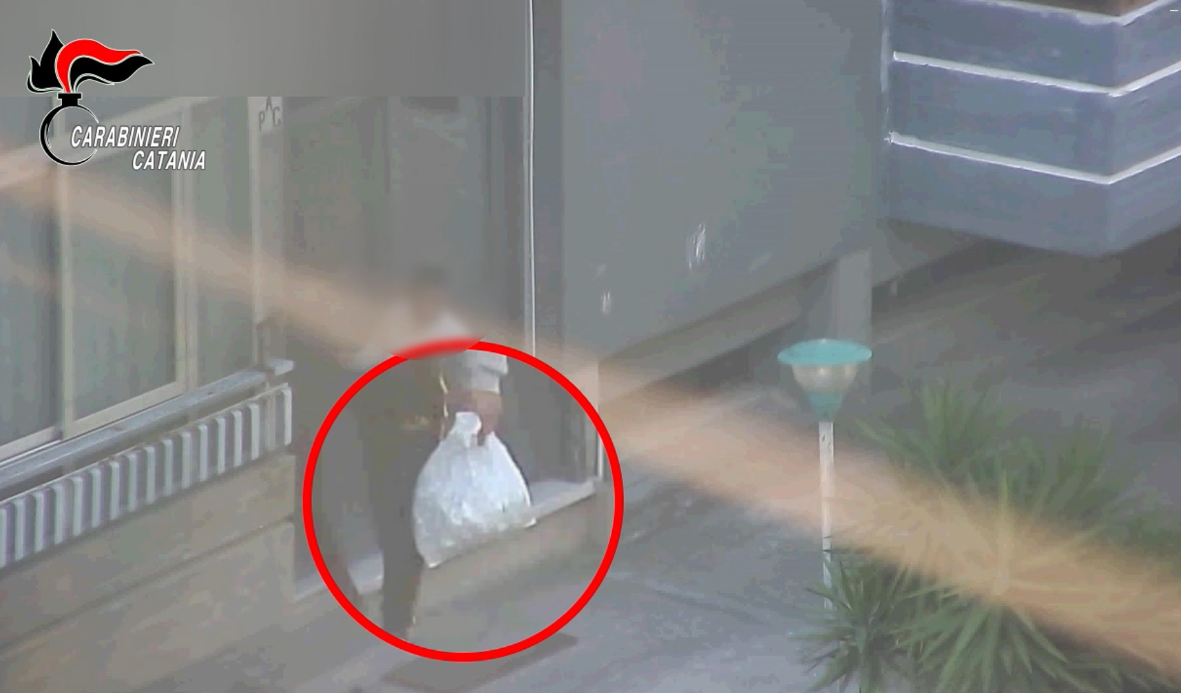 VIDEO | Droga a Librino, smantellata la “Fossa dei Leoni”: 14 arresti nella notte