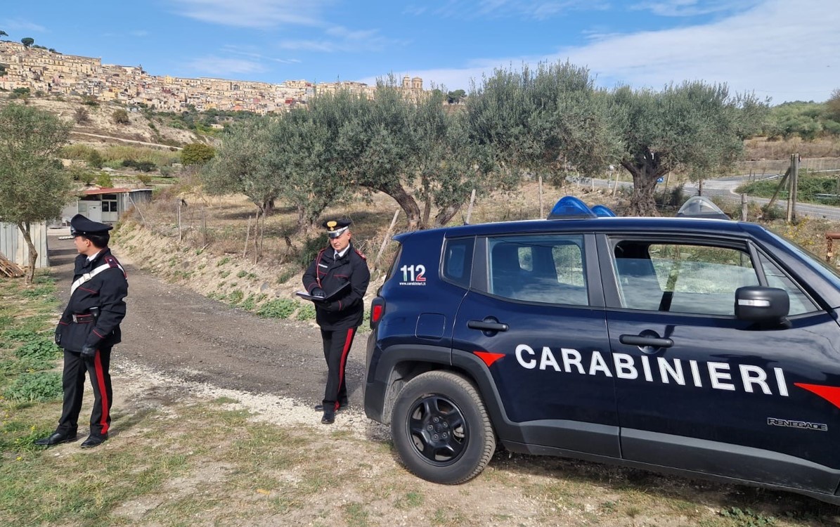 Aggredisce ragazza per rubarle il vitello: scatta l’arresto per rapina impropria a Ragusa