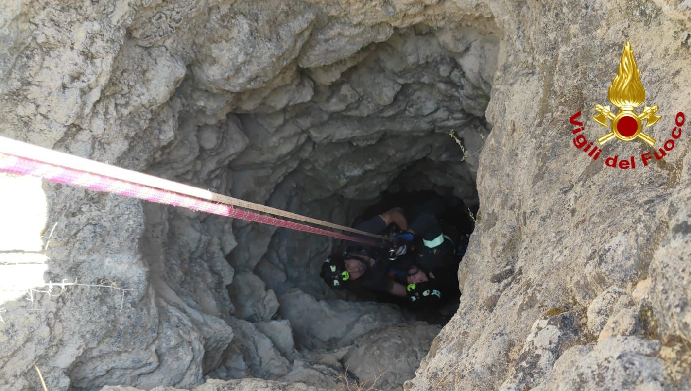 Due cani cadono in un pozzo nel Catanese, salvati dai vigili del fuoco