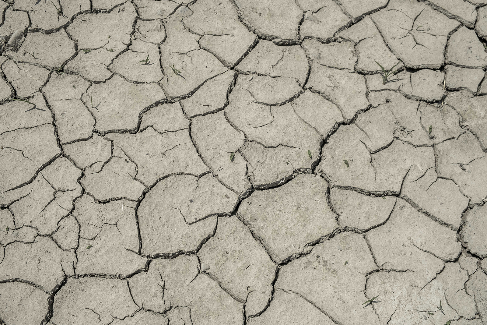 A Marsala incontro su agricoltura e climate change