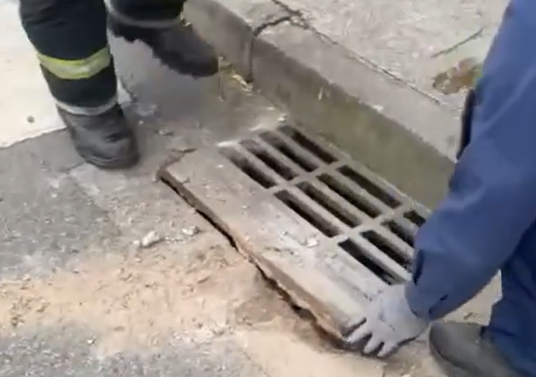 VIDEO | “C’è un animale intrappolato nel tombino”, le immagini dell’incredibile soccorso