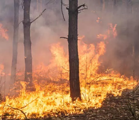 Emergenza incendi, Schifani ai Comuni: “Da Protezione civile massima collaborazione”