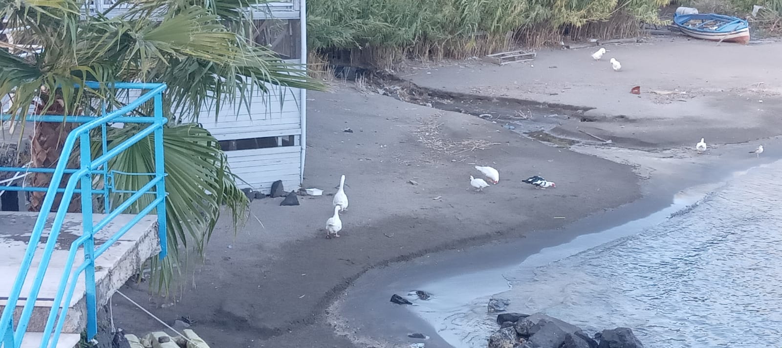 Catania, spiaggetta di Ognina, il sindaco apre alla tutela