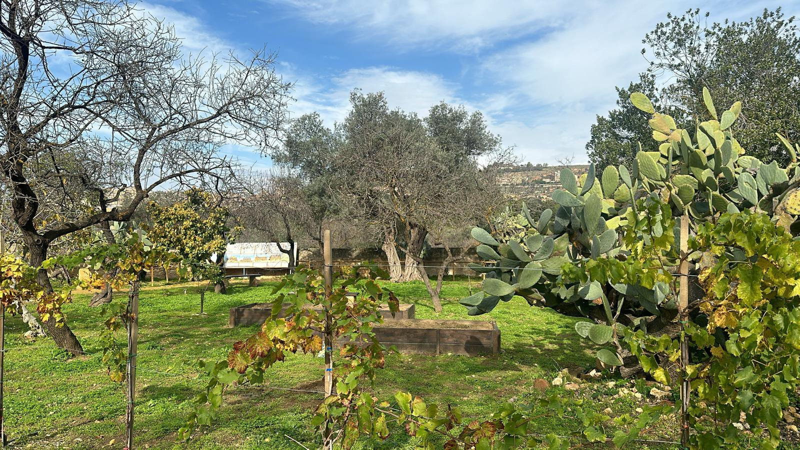 La Valle dei Templi vissuta grazie ai cinque sensi