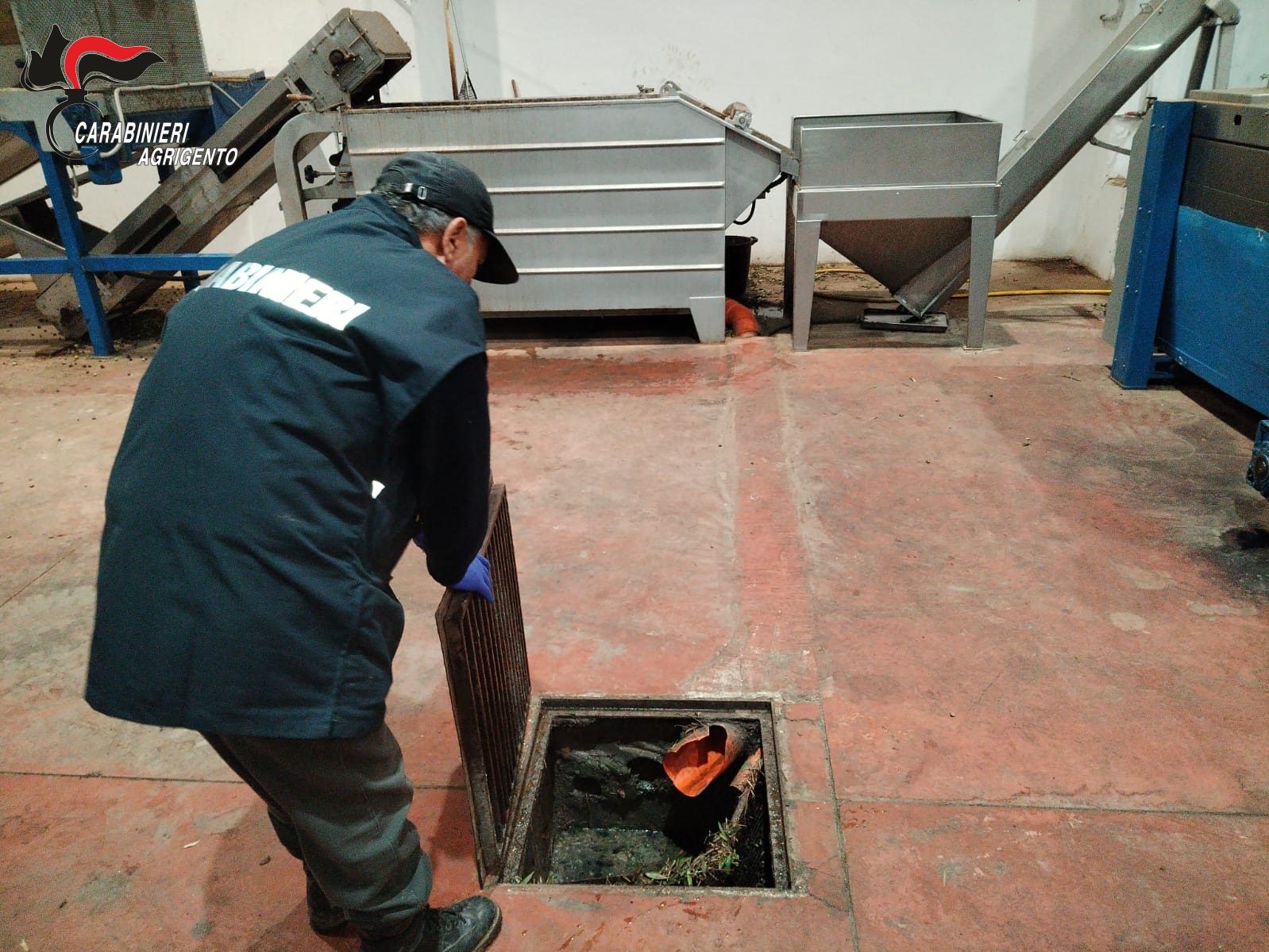 Agrigento, controlli sulla campagna olearia di quest’anno