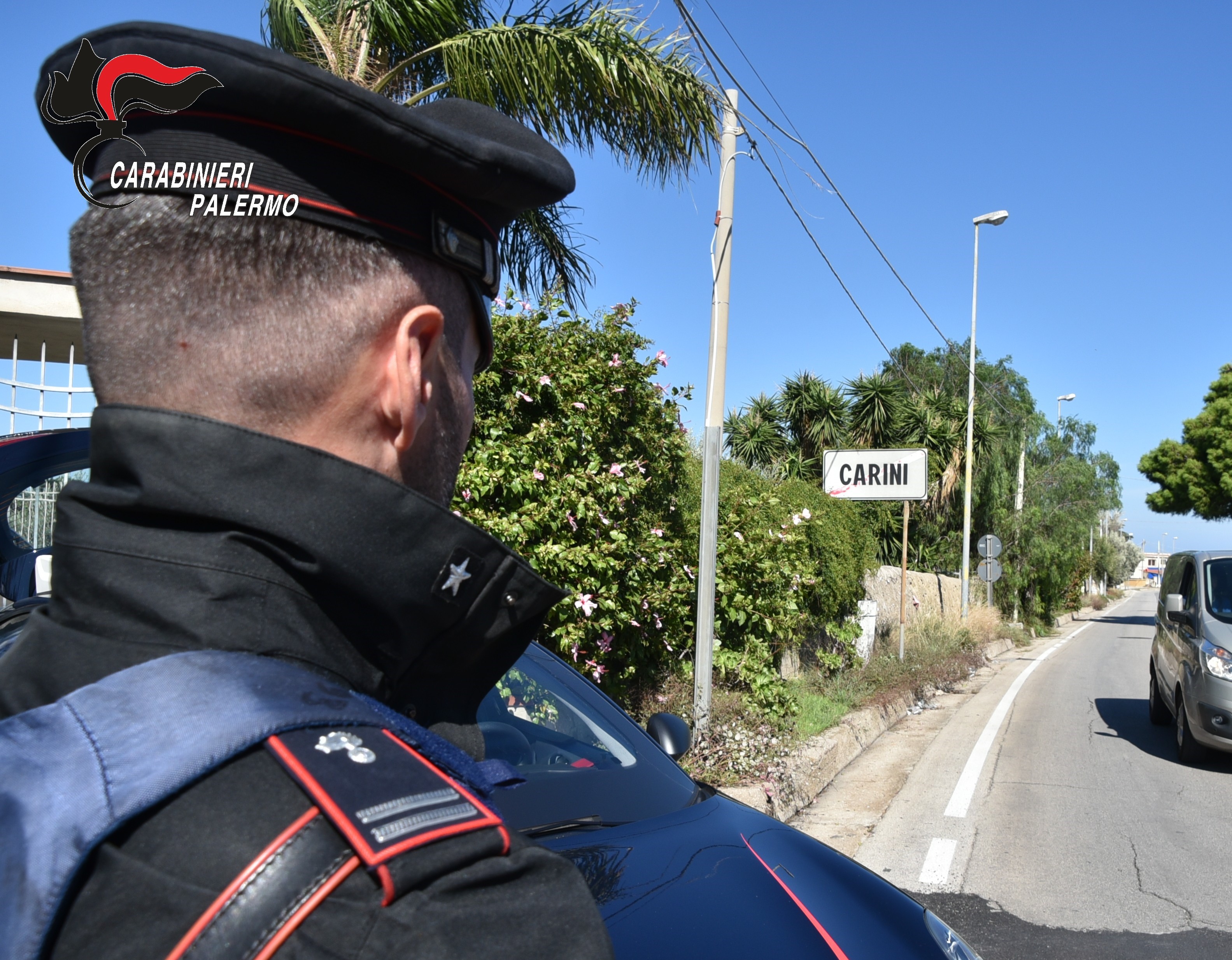 Scoperta piantagione indoor di cannabis nel Palermitano: arrestato 48enne, denunciata la moglie