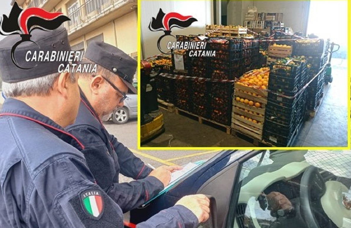 Agrumi siciliani non a norma a pochi giorni da Natale: maxi sequestro al mercato di Catania