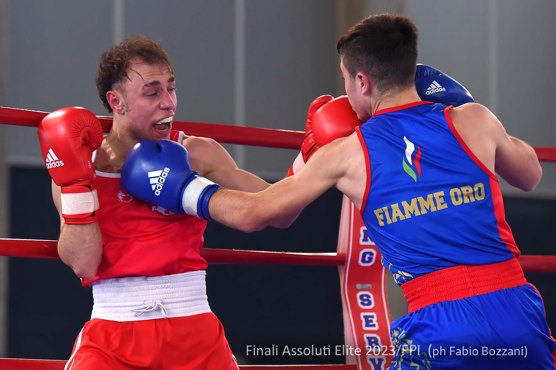 Boxe, cinque atleti fanno sognare la Sicilia: vinti i Campionati Italiani Assoluti