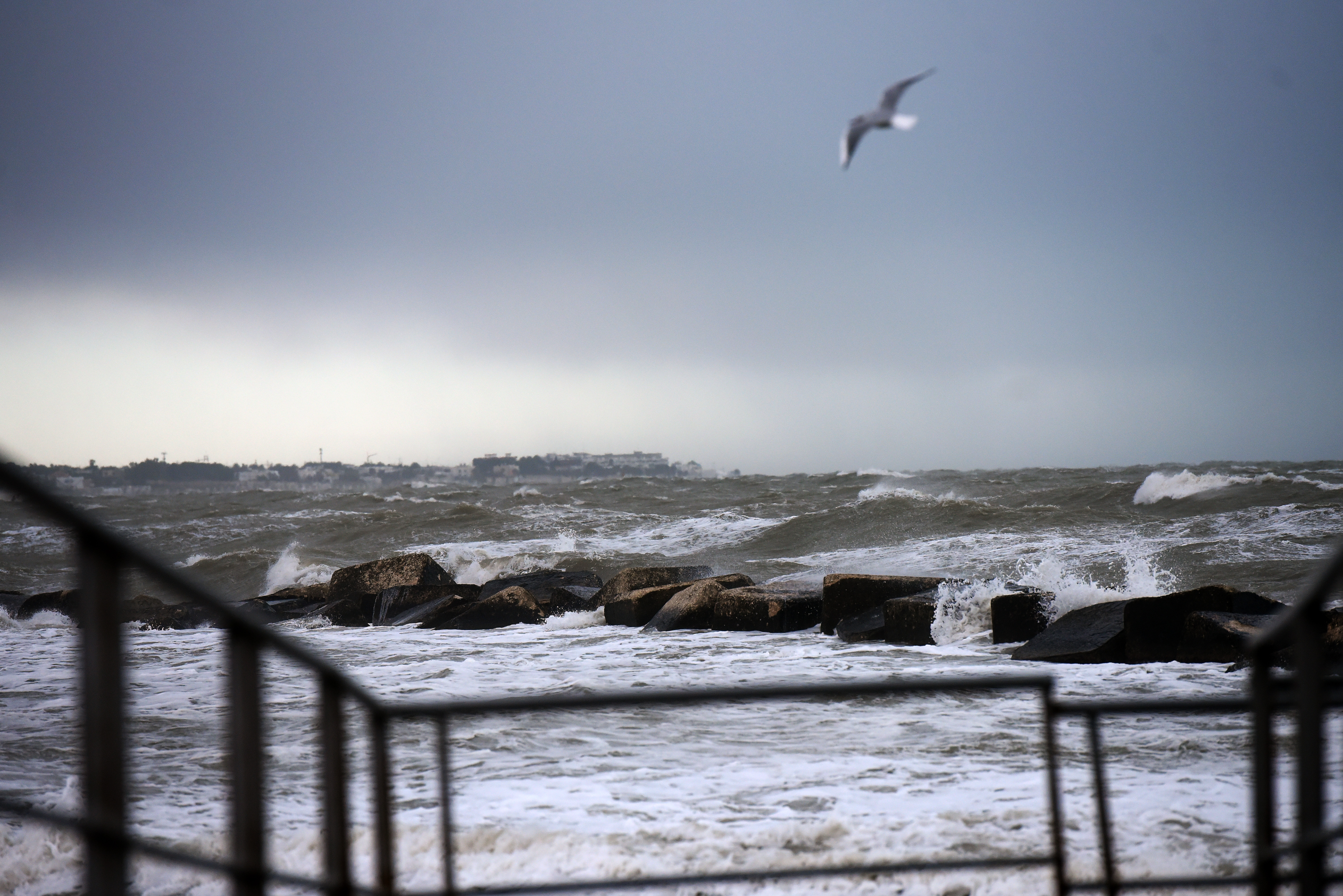 Pesca, progetto Argo Cassiopea, compensazioni per le marinerie
