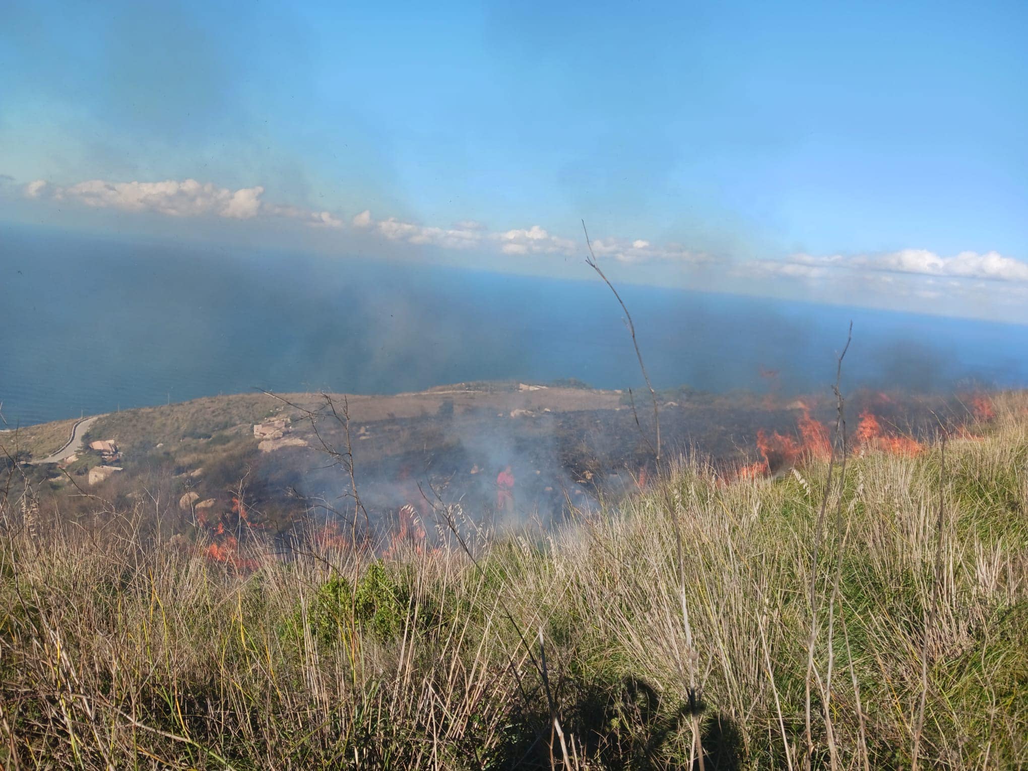 Fiamme nel Trapanese, brucia la montagna di Erice: Forestale e vigili del fuoco in azione Fiamme nel Trapanese, brucia la montagna di Erice: Forestale e vigili del fuoco in azione