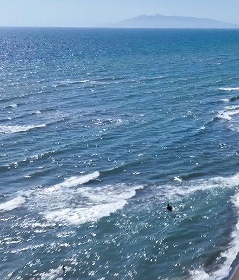 Adolescente ucciso da uno squalo, corpo recuperato davanti alla spiaggia