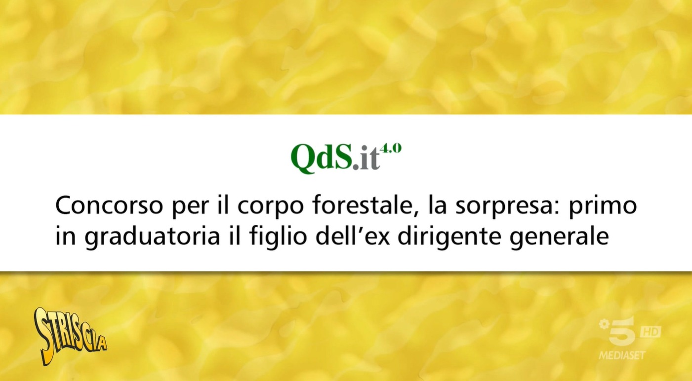 Il giornalismo d’inchiesta esiste ancora: il caso concorso forestale del QdS spopola in tutta Italia