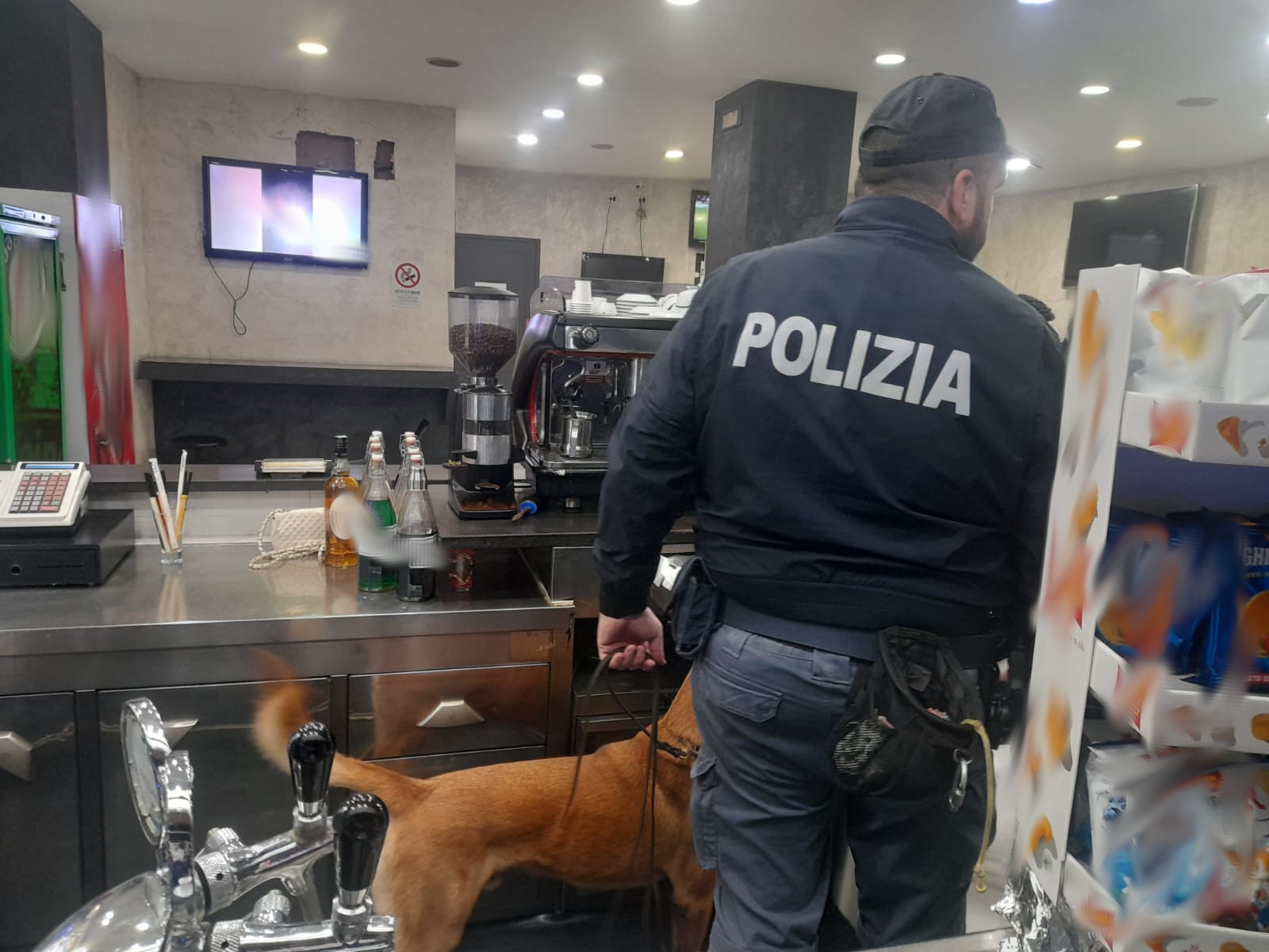 Catania, nascondeva marijuana: 22enne scoperto dal cane poliziotto “Pablo”