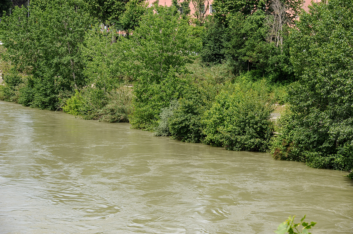 Quelle acque dolci di Sicilia diventate “amare” e inadatte alla vita dei pesci