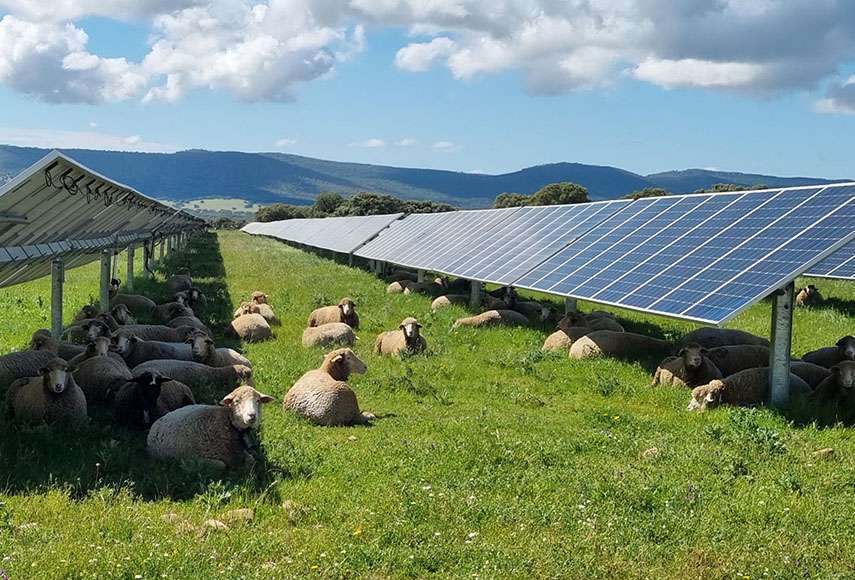 Rinnovabili, se la potenza resta solo sulla carta… “Ci sono le autorizzazioni, ma non gli impianti”