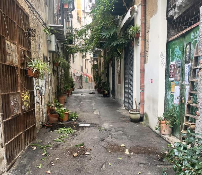 Raid in un locale del centro storico di Palermo, vasi spaccati e piante spezzate