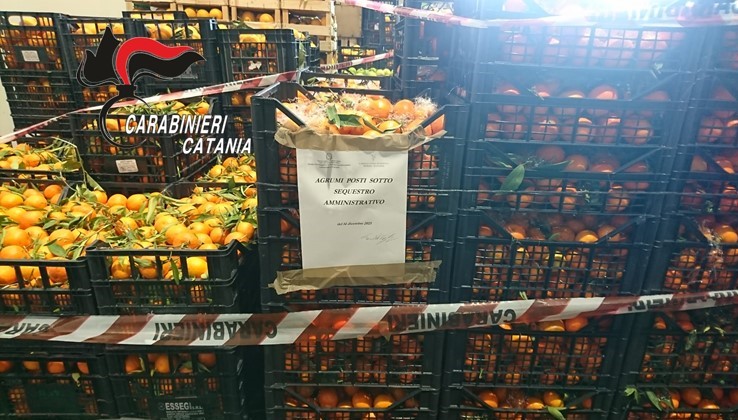Catania, in beneficenza al Banco Alimentare 8 mila chili di agrumi sequestrati
