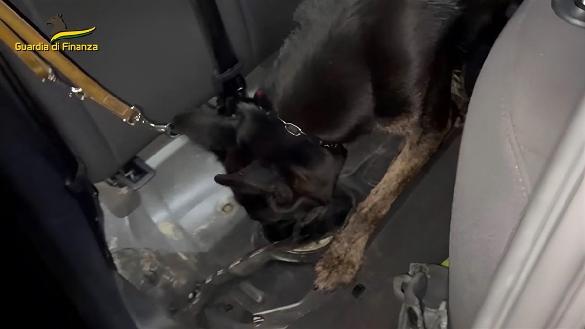 VIDEO e FOTO | Palermo, arrestato corriere della droga: ritrovati 11 kg di cocaina