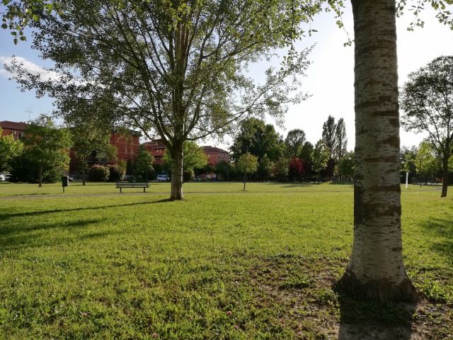 Enna, parte l’iniziativa denominata “Verde Comune”