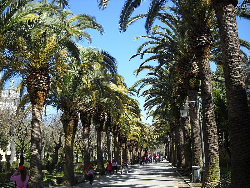 Turismo, è scontro sul bilancio delle festività a Ibla