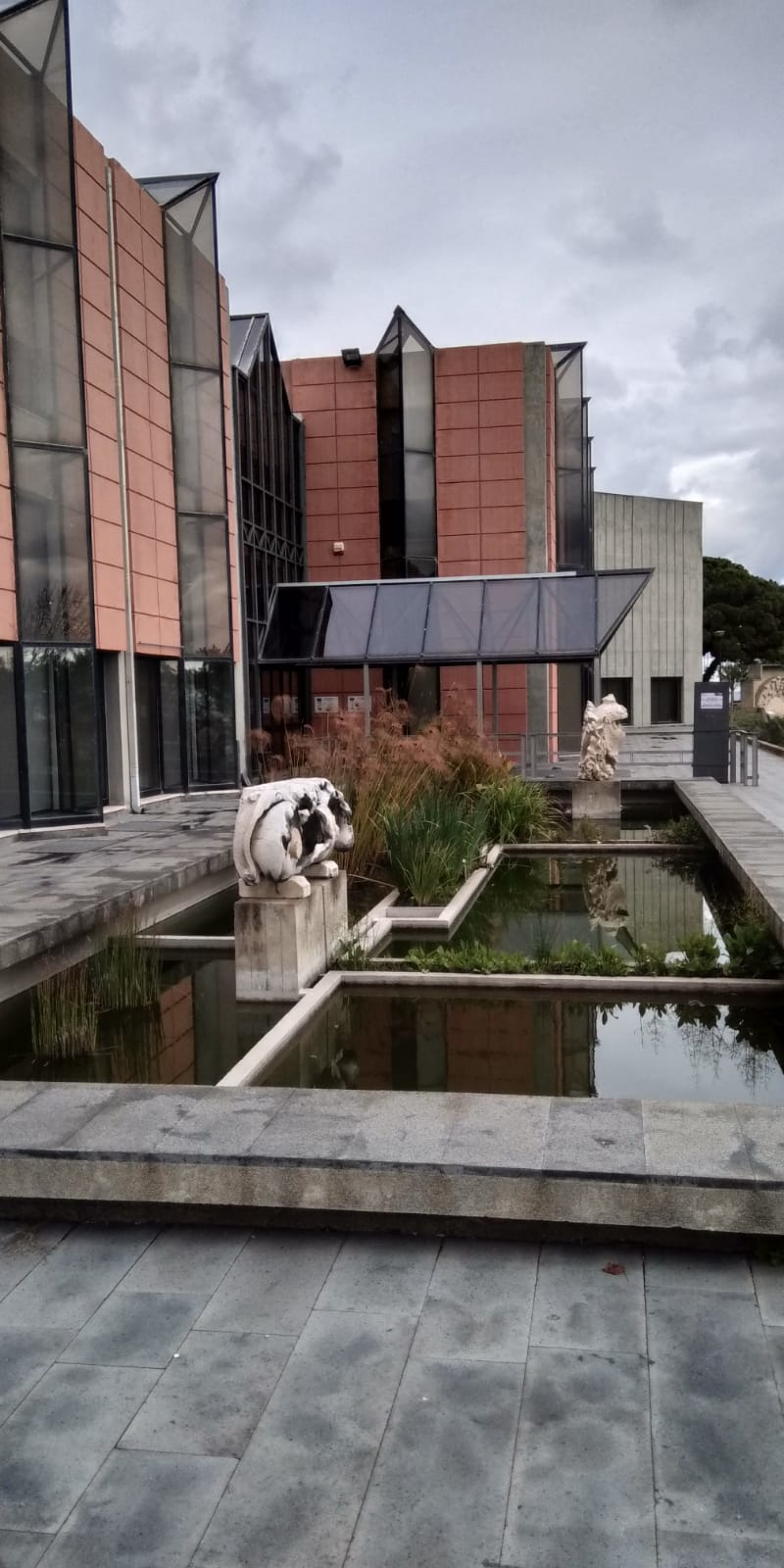 Museo regionale di Messina, è scontro sugli incassi