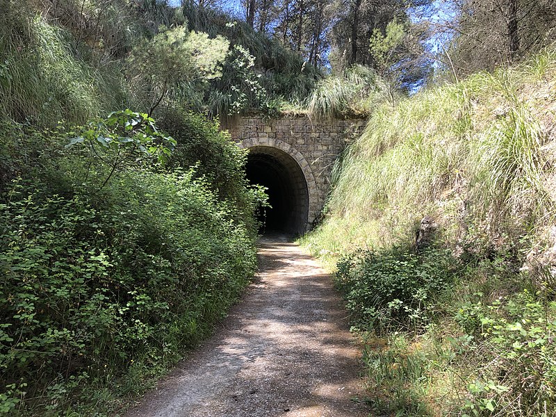 Ferrovie, urgono interventi su stazioni e locomotive in provincia di Ragusa