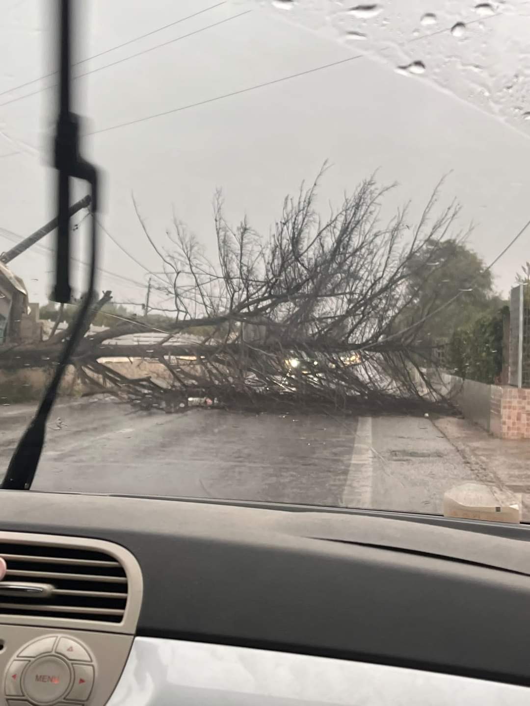 Albero cade sulla Sp2, Vittoria isolata da Acate: le immagini Albero cade sulla Sp2, Vittoria isolata da Acate: le immagini