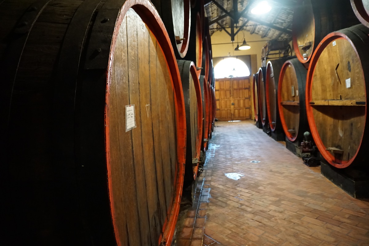 Vini, quante eccellenze! In Sicilia si apre un 2024 promettente, ma pesa il cambiamento climatico