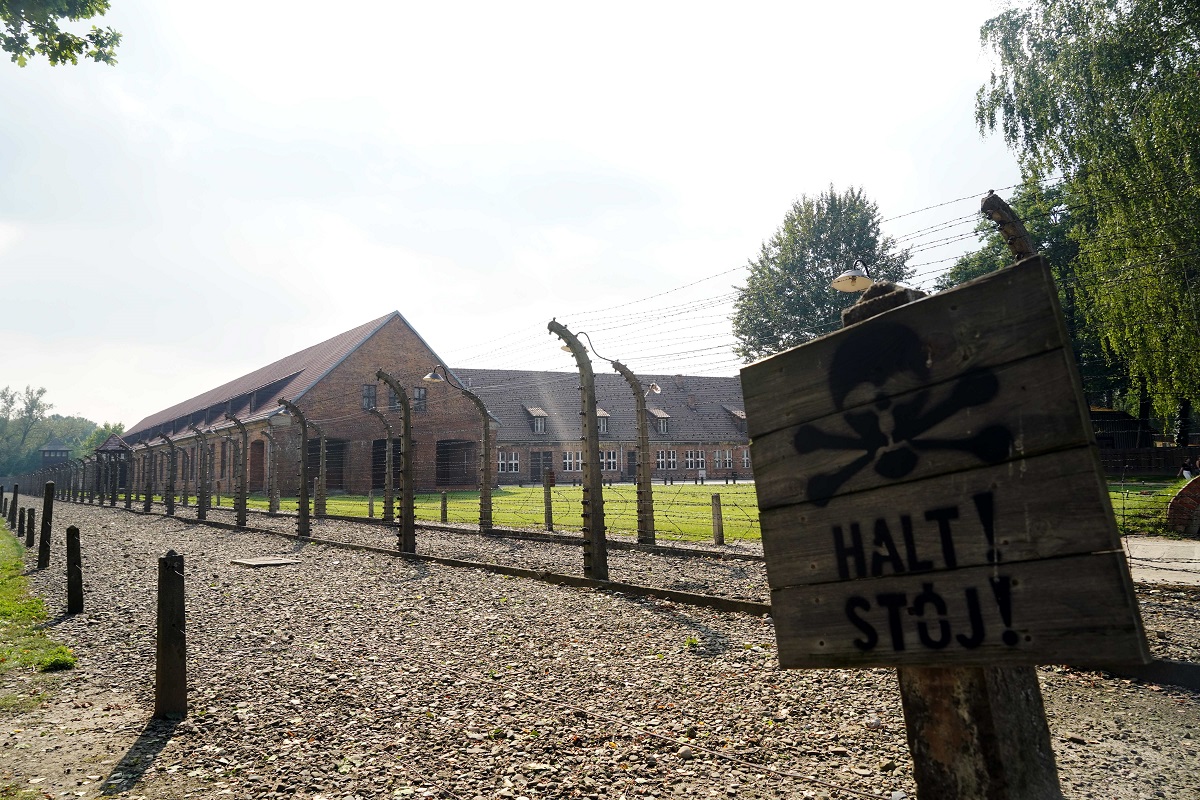 27 gennaio 2025, si celebra oggi il Giorno della Memoria: il ricordo e le iniziative in programma