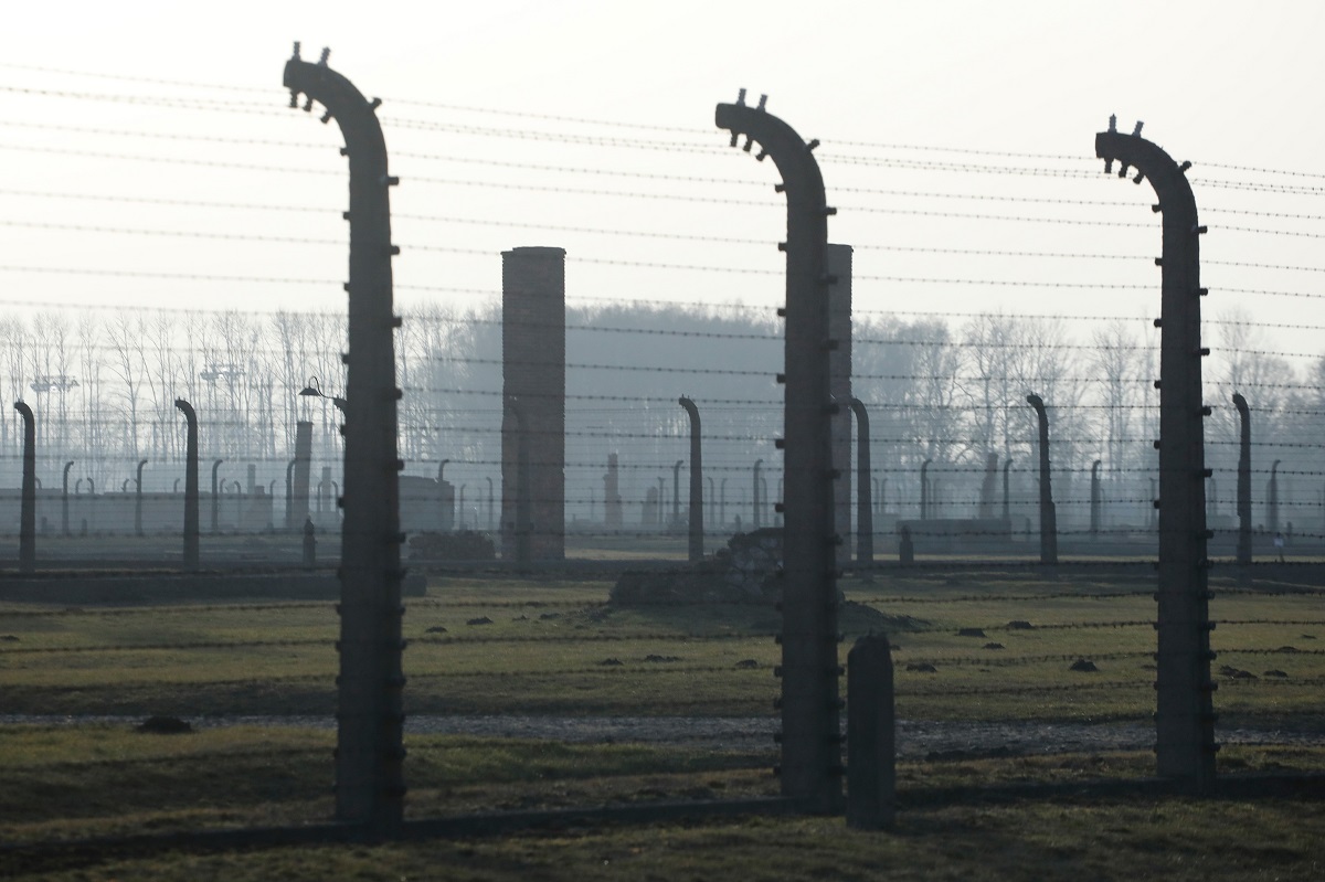 Dalla Shoah alla guerra in Israele, il 27 gennaio 2024 è il Giorno della memoria: storia e frasi