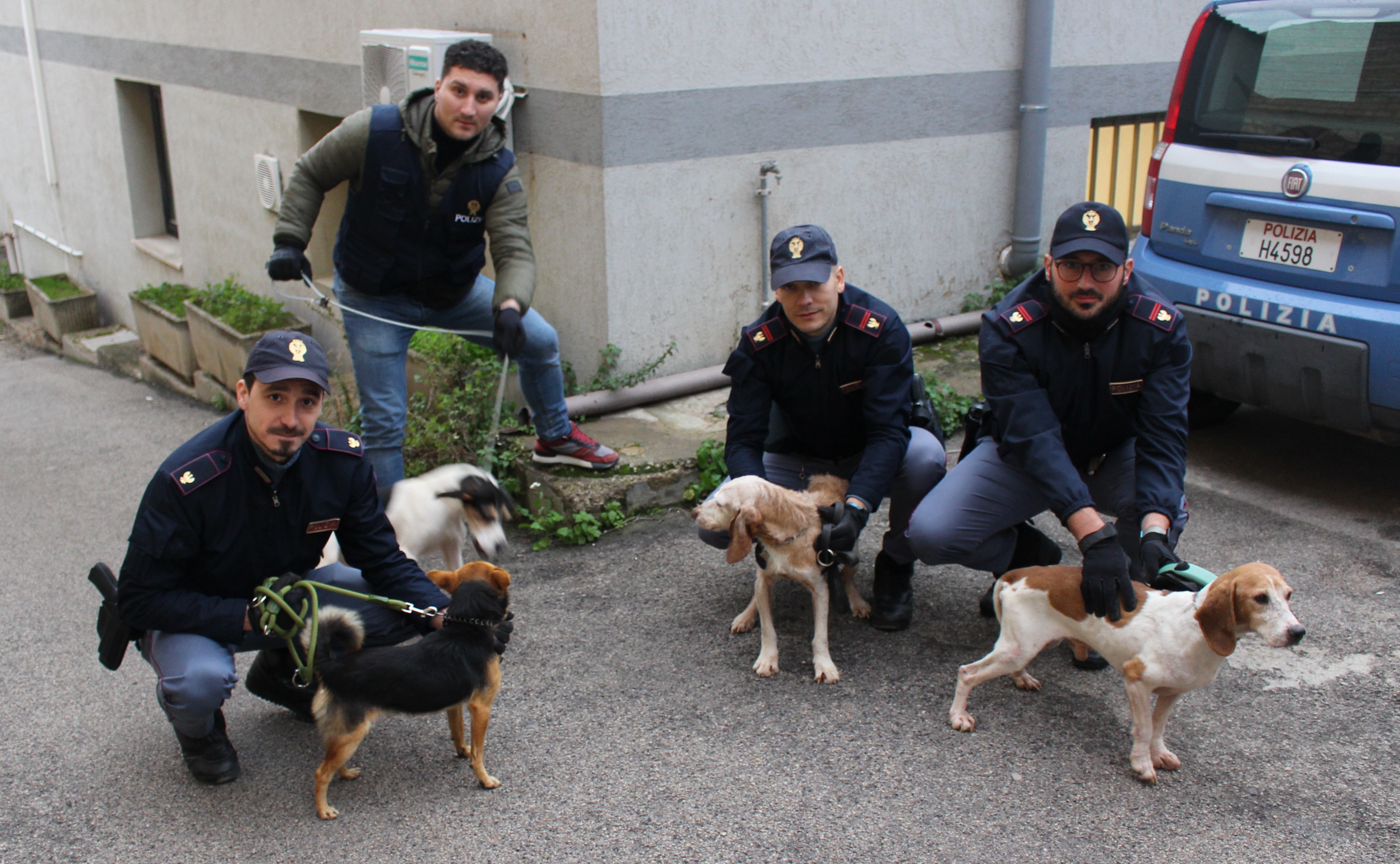 VIDEO | Stalle abusive e maltrattamenti su 12 cani: scatta la denuncia nel Nisseno