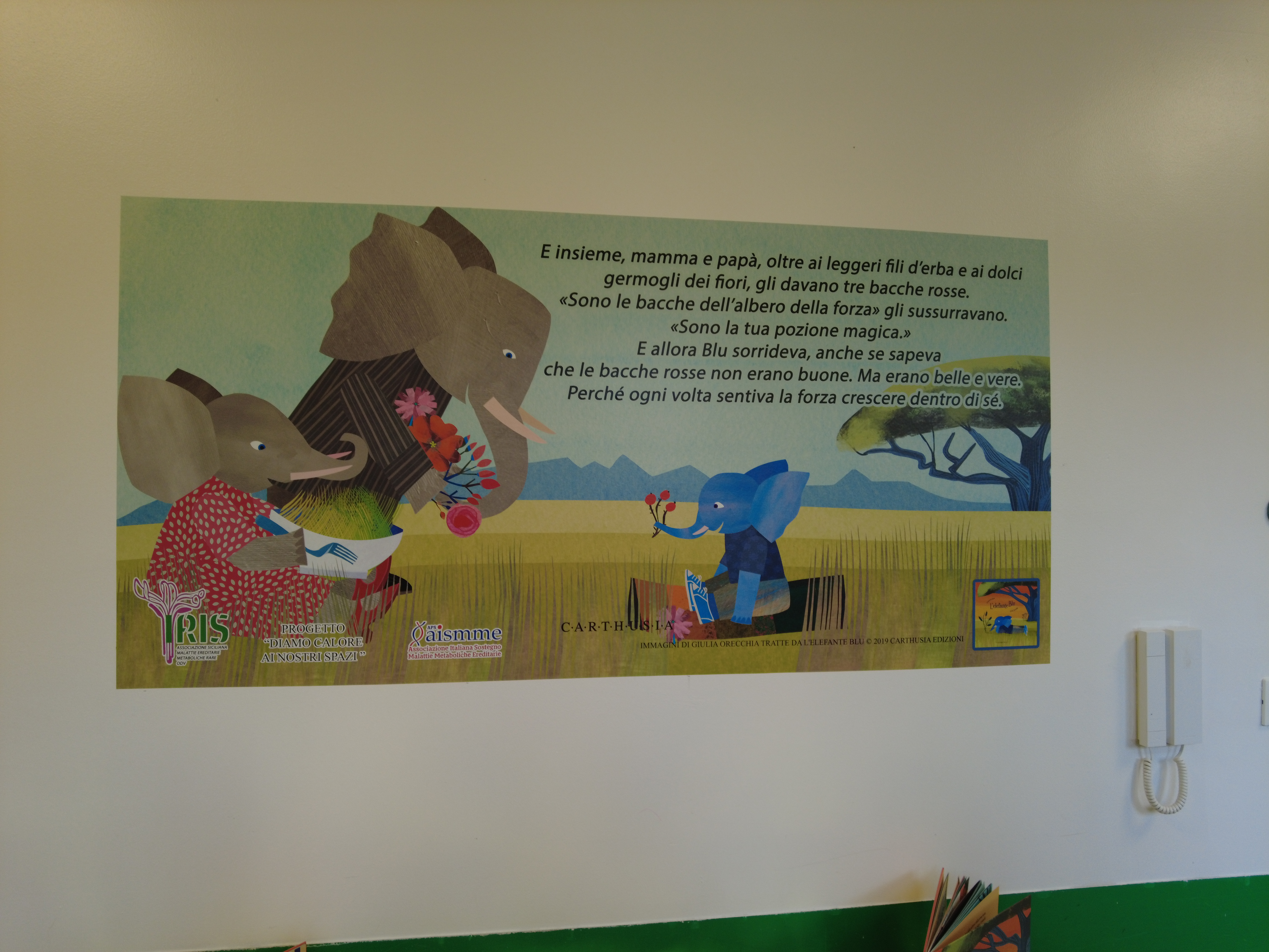 Galleria foto 'Malattie metaboliche infantili, murales e fiabe all’ospedale “Di Cristina” di Palermo: “Bimbi devono sentirsi sereni”' - foto 7