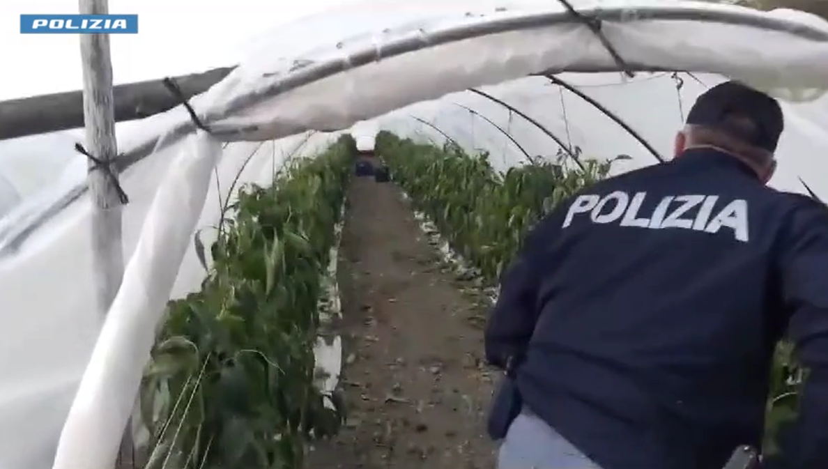 Operazione “Alto Impatto”: tutti i controlli e le sanzioni a Caltanissetta e provincia