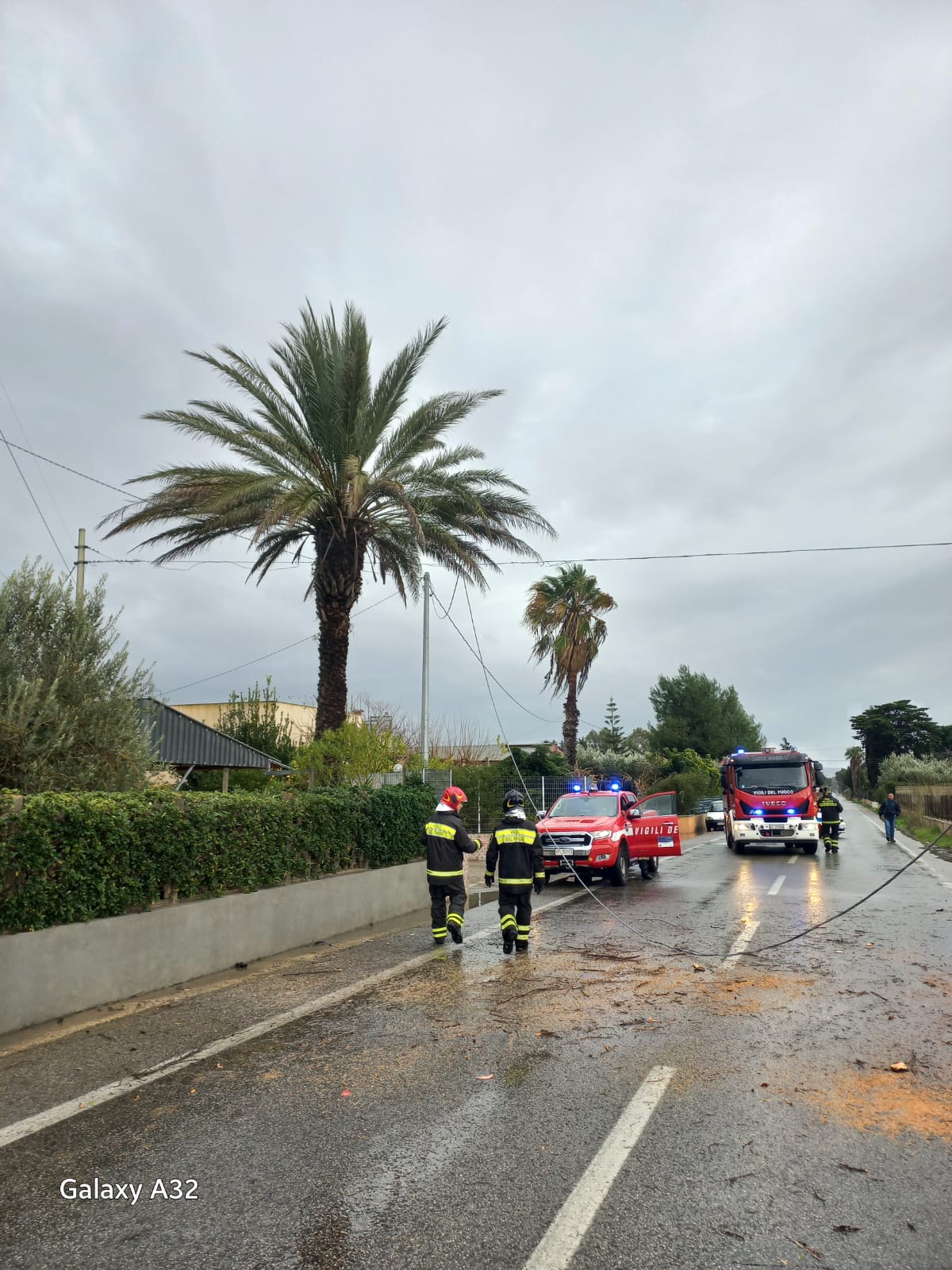 Albero cade sulla Sp2, Vittoria isolata da Acate: le immagini Albero cade sulla Sp2, Vittoria isolata da Acate: le immagini