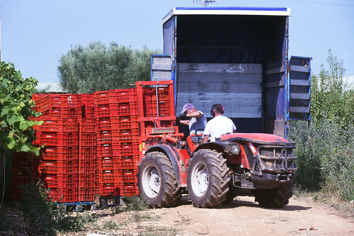 Trapani, agricoltore muore schiacciato dal suo trattore: indagini in corso