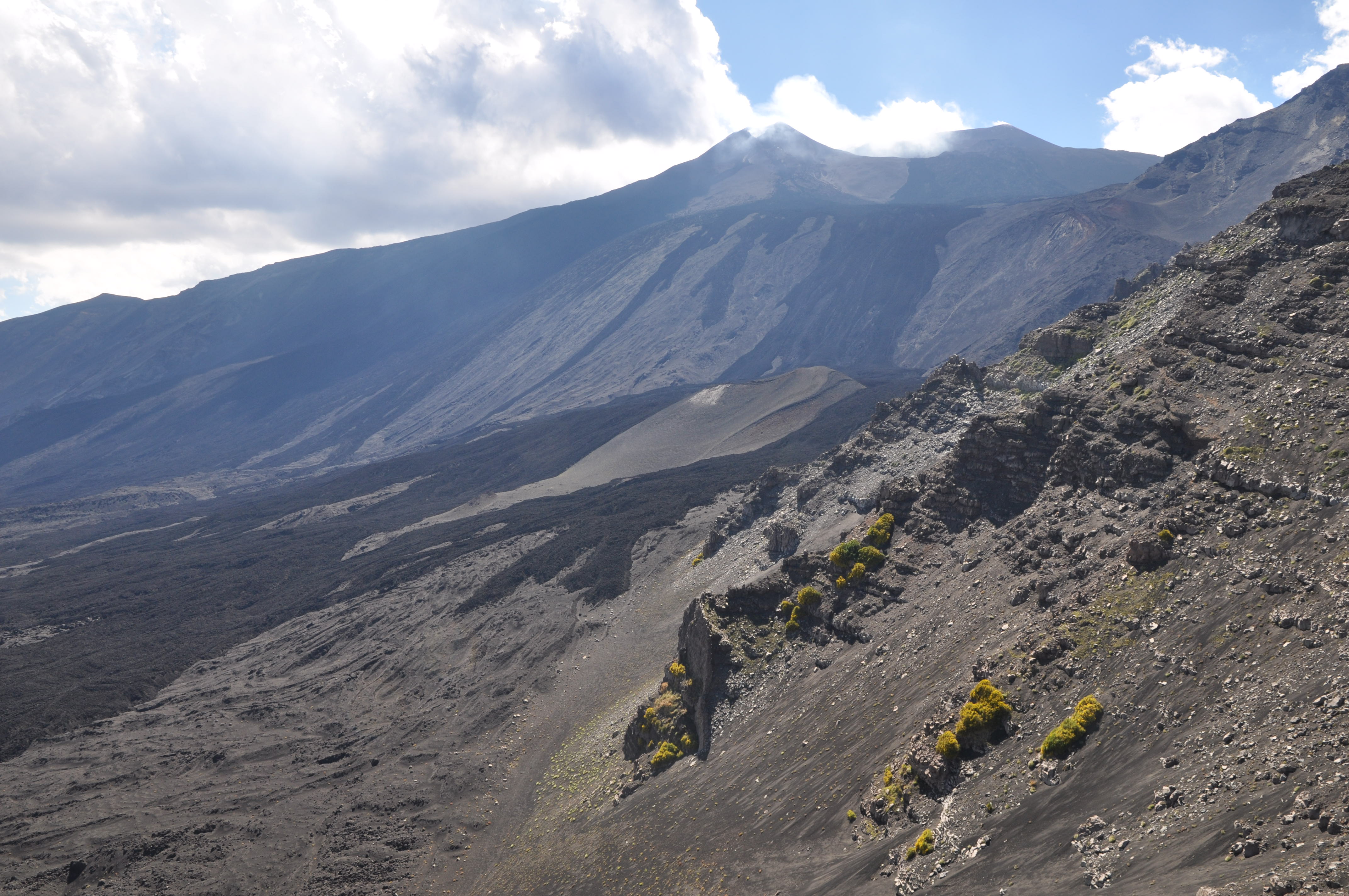 Galleria foto 'Aree naturali protette, un tesoro da condividere' - foto 1
