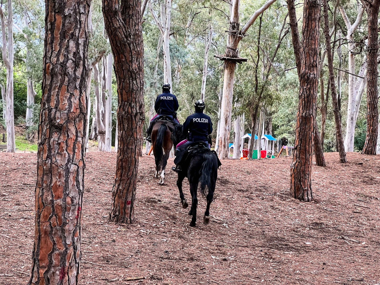 Catania, rapinato mentre rifornisce auto: 34enne arrestato dai poliziotti a cavallo