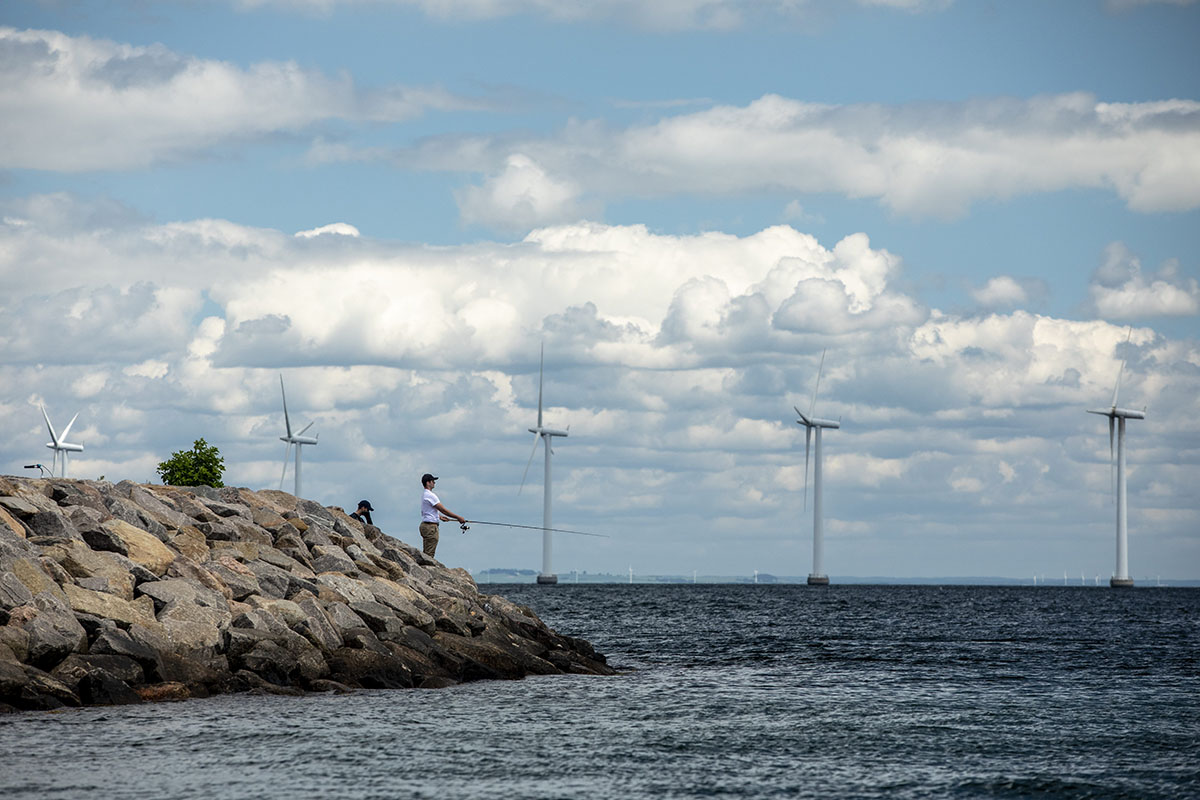 Transizione energetica, la roadmap della Sicilia. “Entro il 2030 impianti rinnovabili per 15 GW”