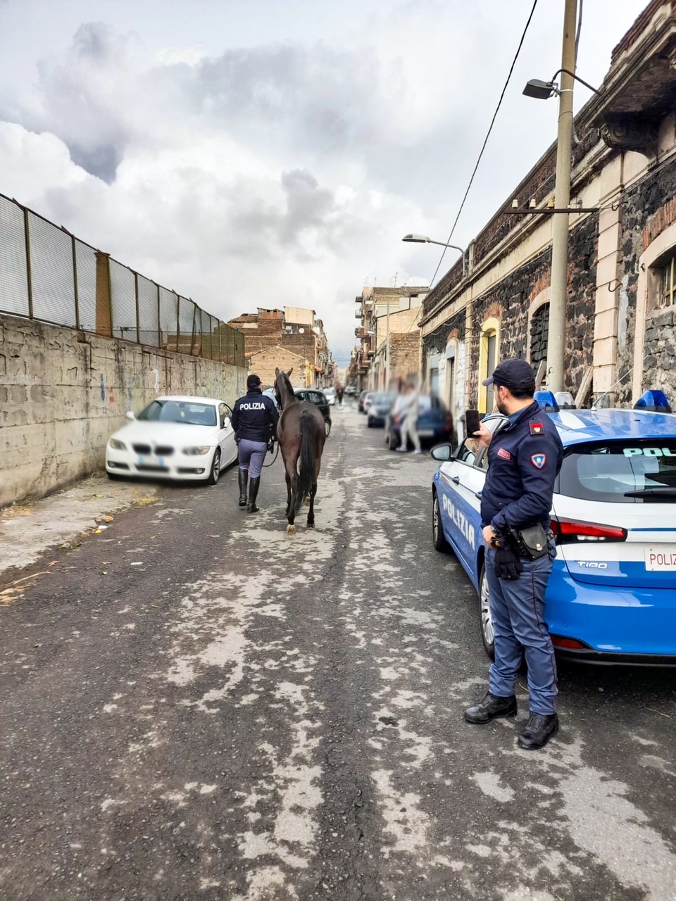 VIDEO | Catania, controllate tre stalle: sequestrati quattro cavalli e farmaci dopanti
